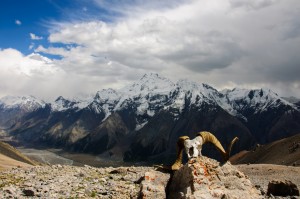 102_-_033__DSC_0032 